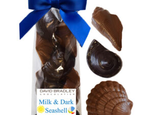 Summer - Bag of Seashells