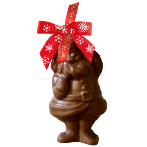 3D Santa