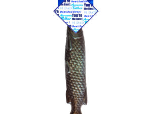 Father's Day - Fish