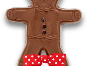 Gingerbread Boy Pop - Winter/Christmas