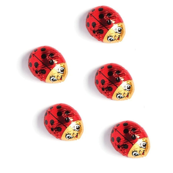 5 Pack Foiled Lady Bugs