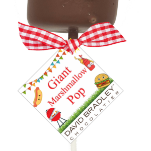 Giant Marshmallow Pop - BBQ Picnic