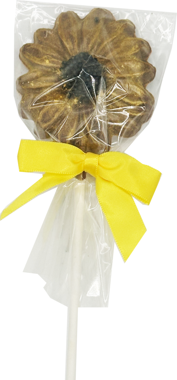 Daisy Pop