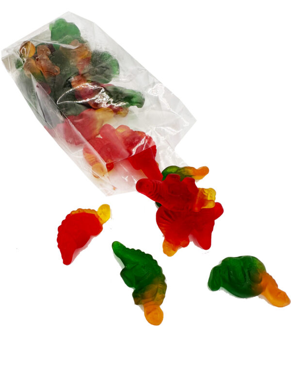 Gummy Dinosaur's