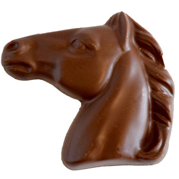 Horse Head