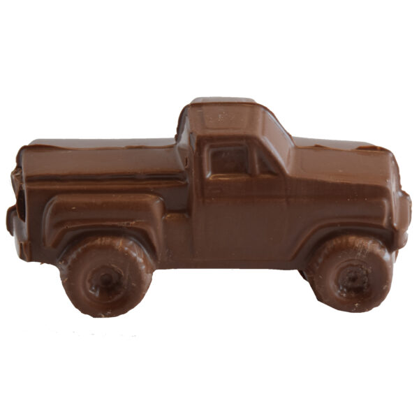 Large Pickup Truck