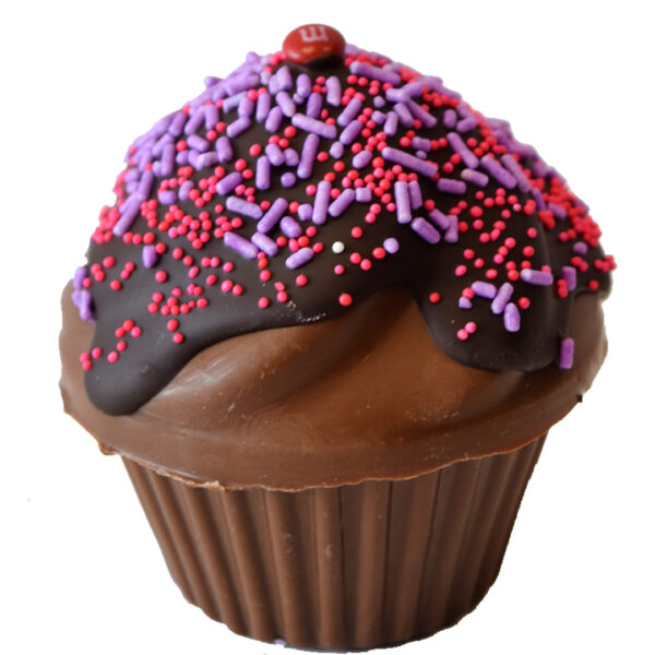 Chocolate Smash Box - Mini Cupcake  *Pick up / Curbside Only*