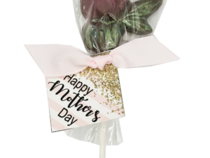 Rose Pop - Mother's Day