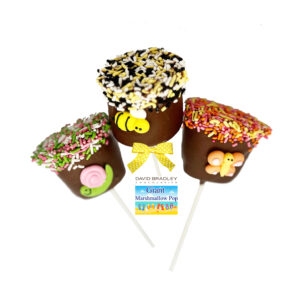Giant Marshmallow Pop - Summer