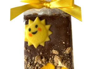 Rice Crispy Treat - Summer Beach