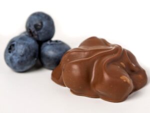 Chocolate covered Blueberries
