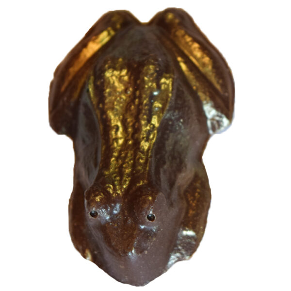 Dusted Frog