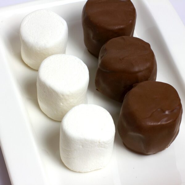 Chocolate Covered Marshmallows - 6 oz Snack Bag