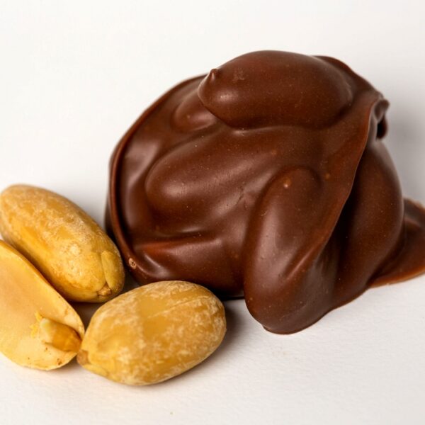 Sugar Free - Peanut Clusters - 6 oz Snack Bag