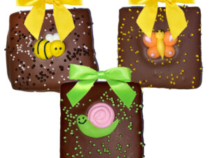 2 Piece Graham Crackers - Summer Bugs