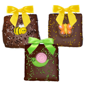 2 Piece Graham Crackers - Summer Bugs