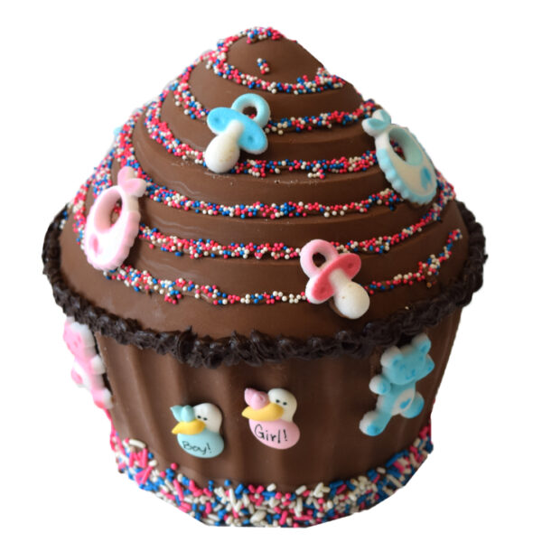 Chocolate Smash Box - Gender Reveal  *Pick up / Curbside Only*
